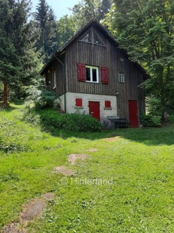 Naturism on meadow area of a nudist club