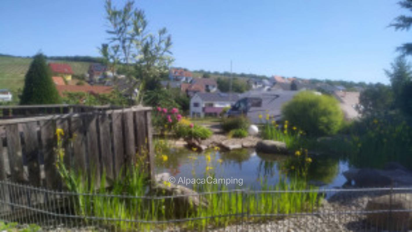 Stellplatz direkt auf dem Weingutsinnenhof #2