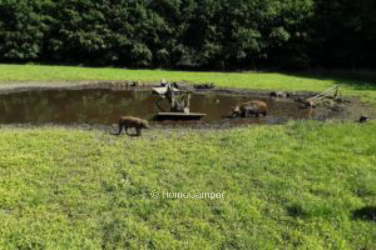 Privater Platz in Werpeloh