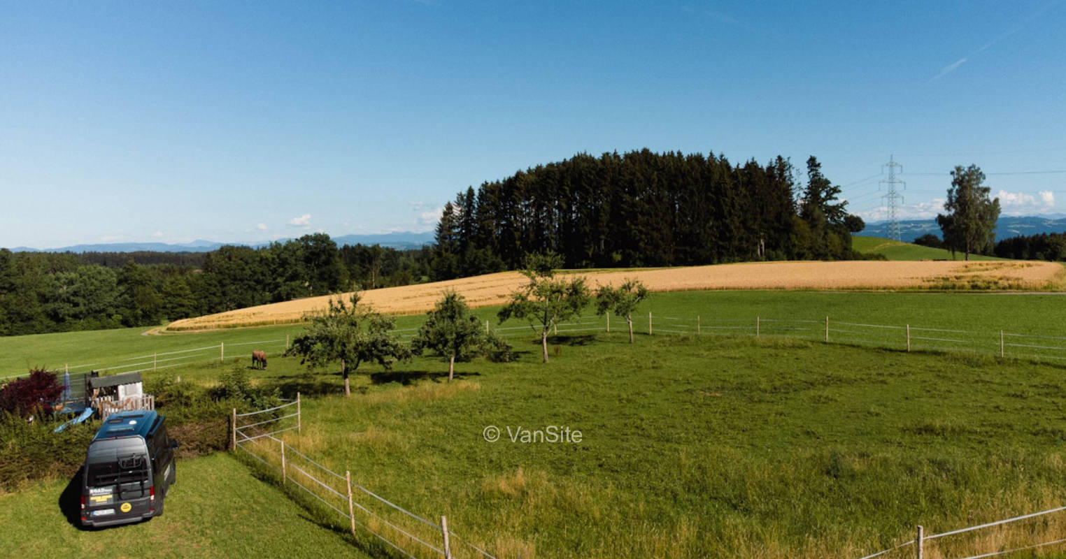 With the horses in the Allgäu