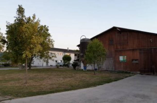 Enjoy nature on our organic farm