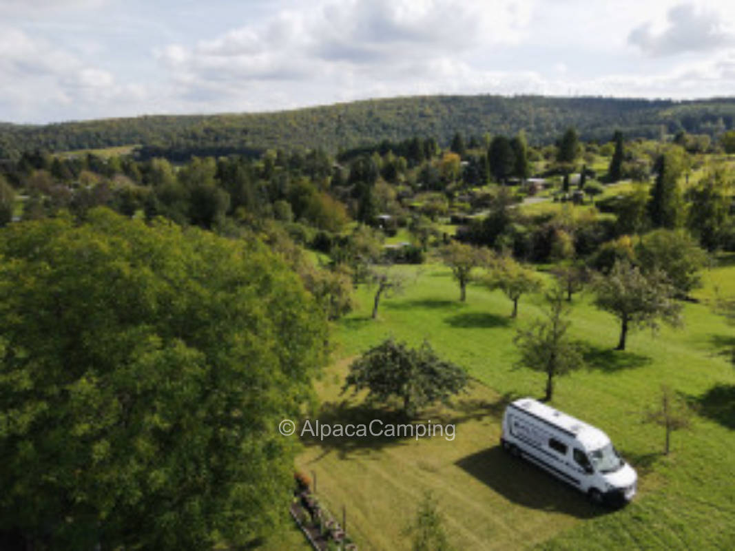 Gesundheitscamping - Qi Gong für Anfänger #1
