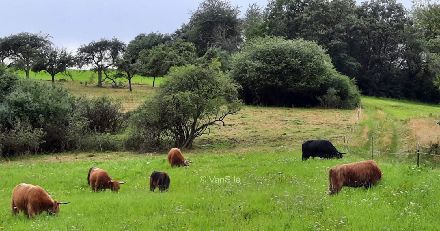 An der Gänsewiese auf dem Hohlandhof