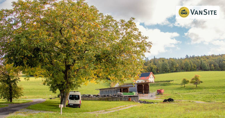 Meadow at the Farm | p2