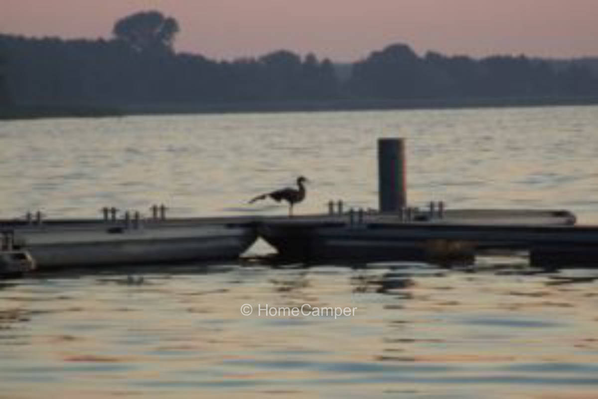 Privater Platz in Sanne-Kerkuhn