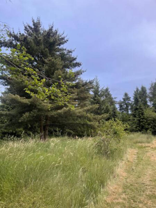 privater Stellplatz (Campspace 8994)