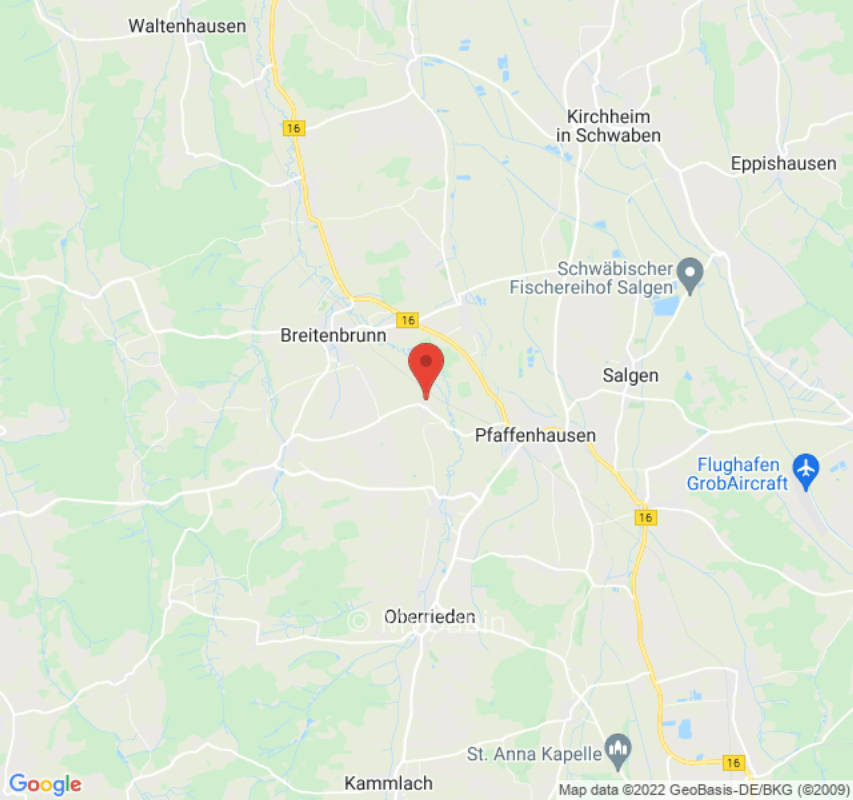 Alpakas am Weilbächle