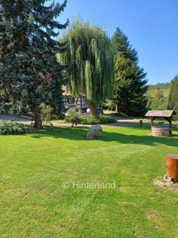  "Gras Baden" am Rebgelände 🍇