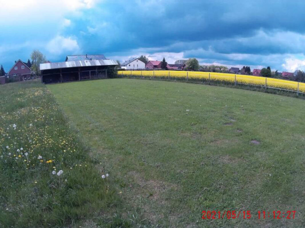 Wiese hinter unserem Haus