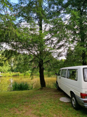 Pitch in the heart of nature