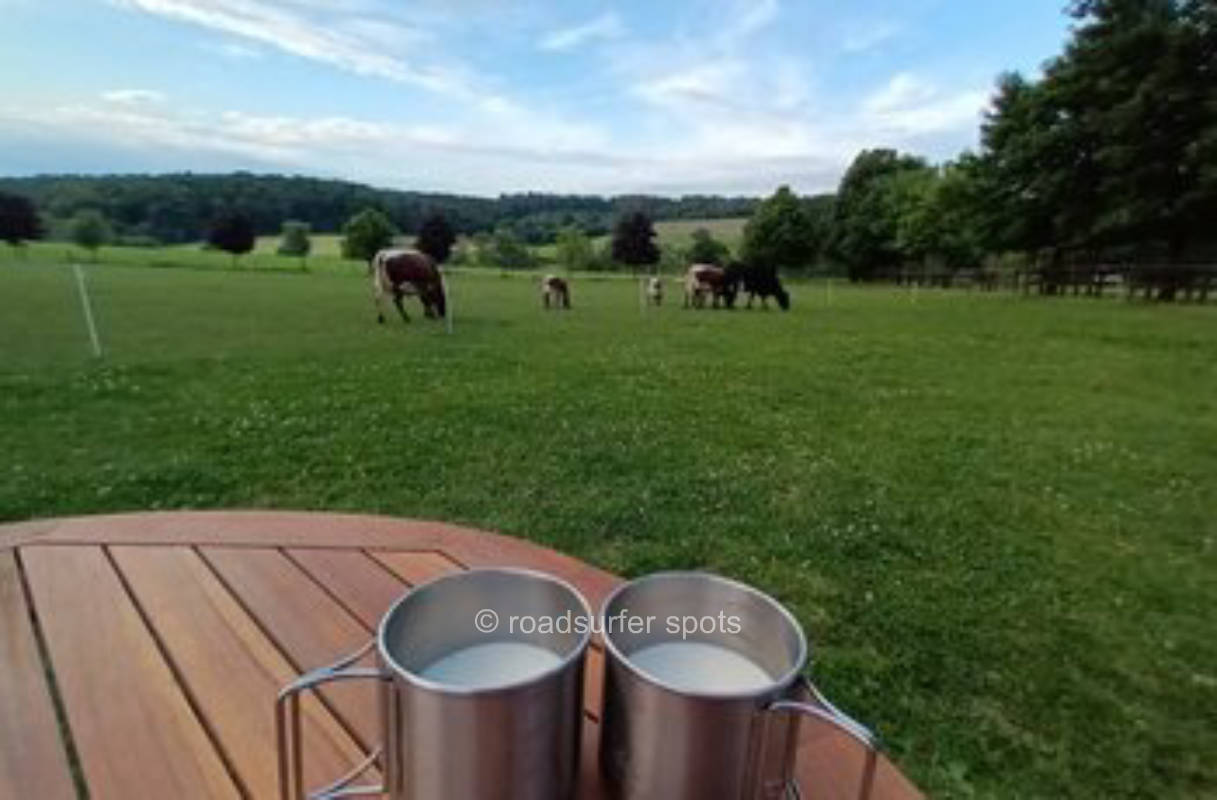 Römerhof, Ihre Adresse in der Vulkaneifel