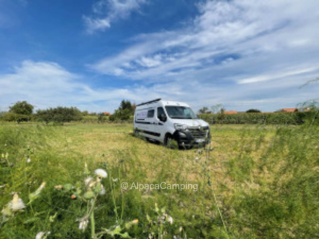 In the sunny Markgräflerland only 1 day bookable #2