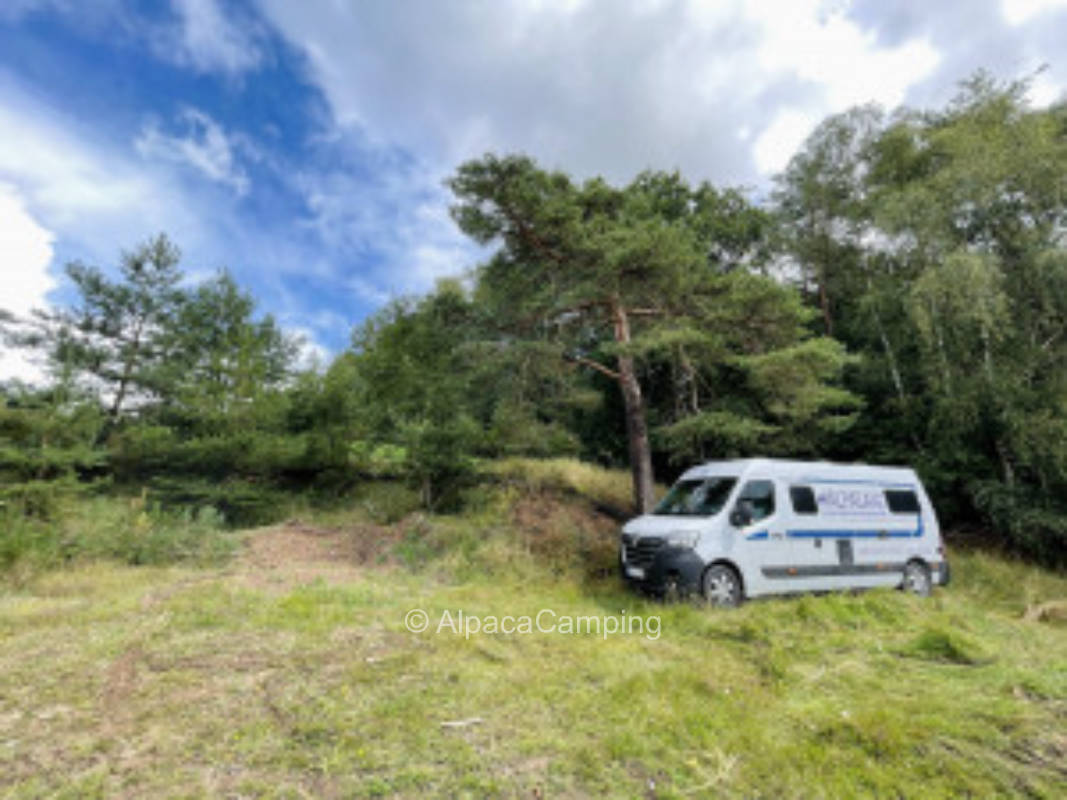 Idyllic pitch on our pony farm /edge of the forest