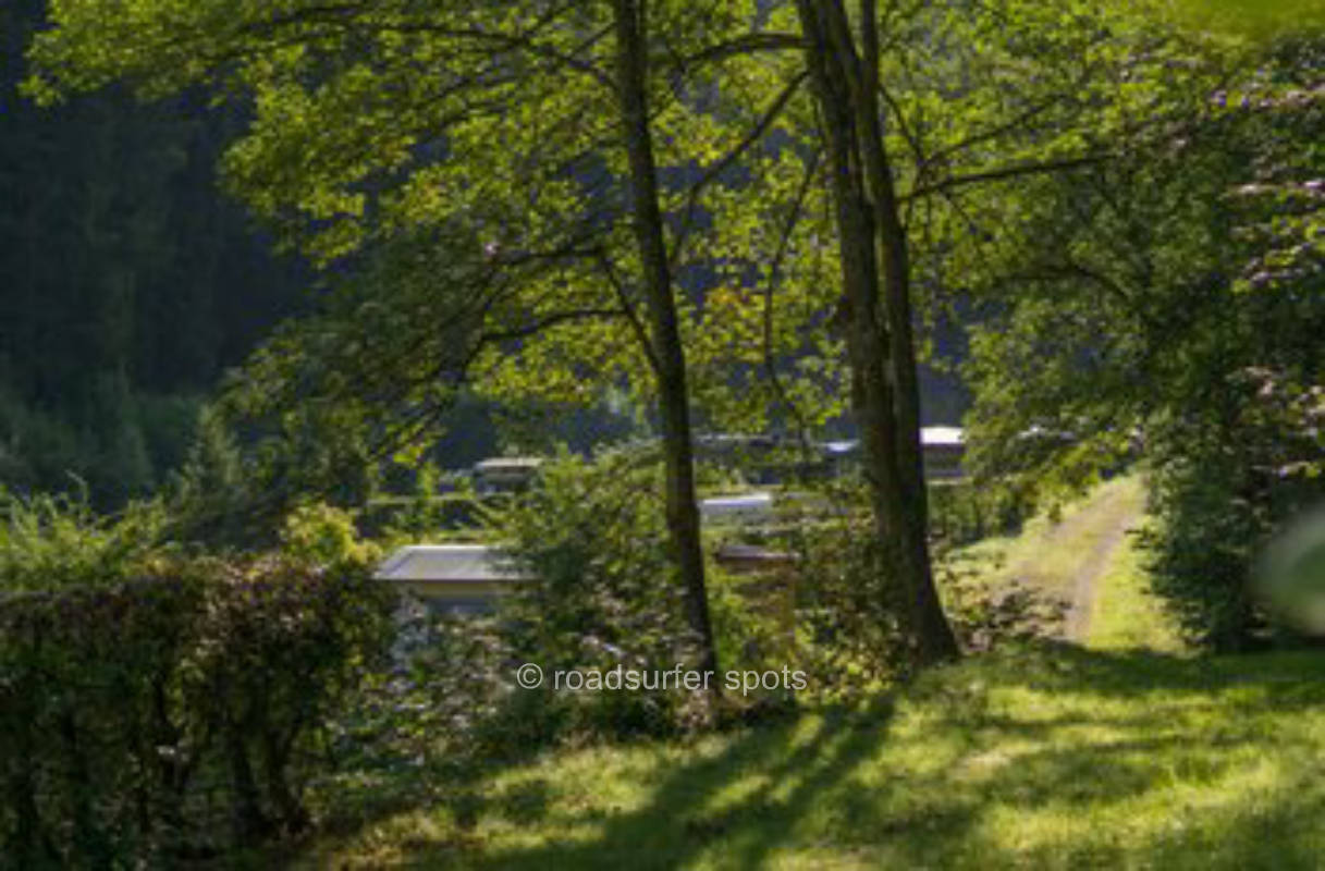 Tent / pitch on our beautiful meadow