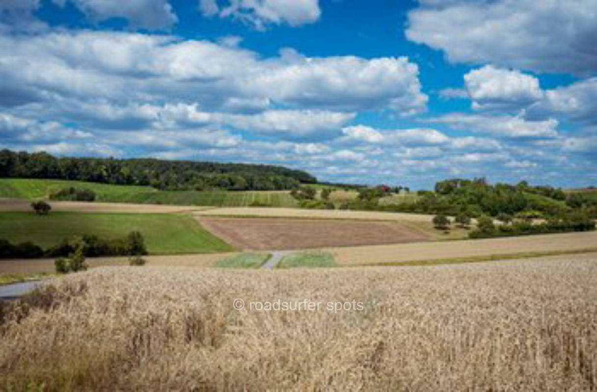 Rasenstellplatz auf dem Weingut