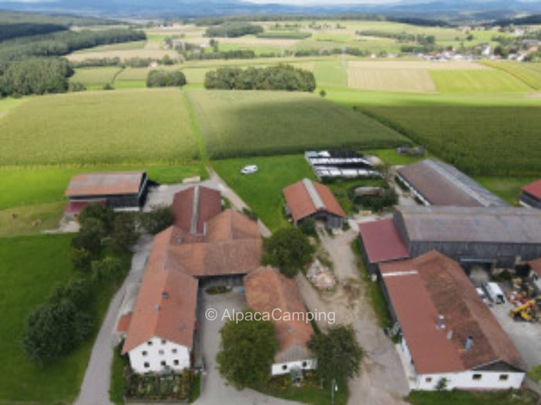 Wiese mit Weitblick am Bauernhof #1