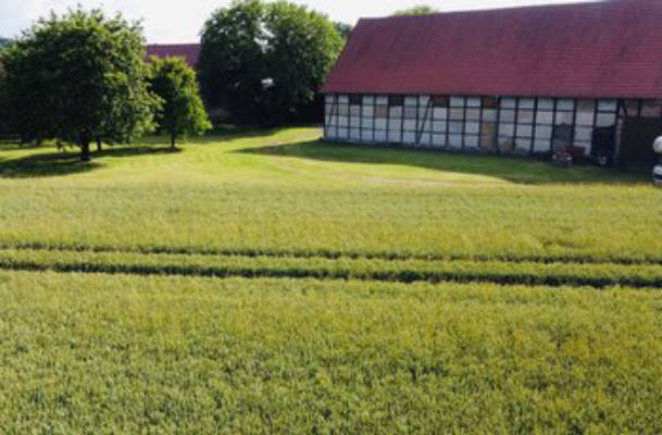 Obstgarten im Warnetal