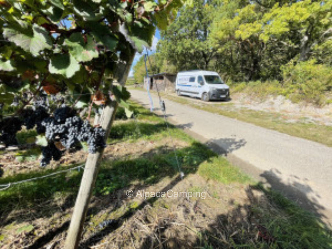 Einzelstellplatz direkt beim Winzer in Beckstein / Lauda - Königshofen