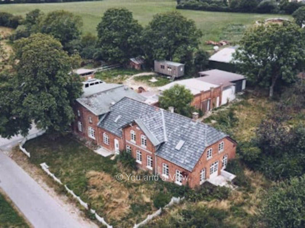 Wilde Koppel
