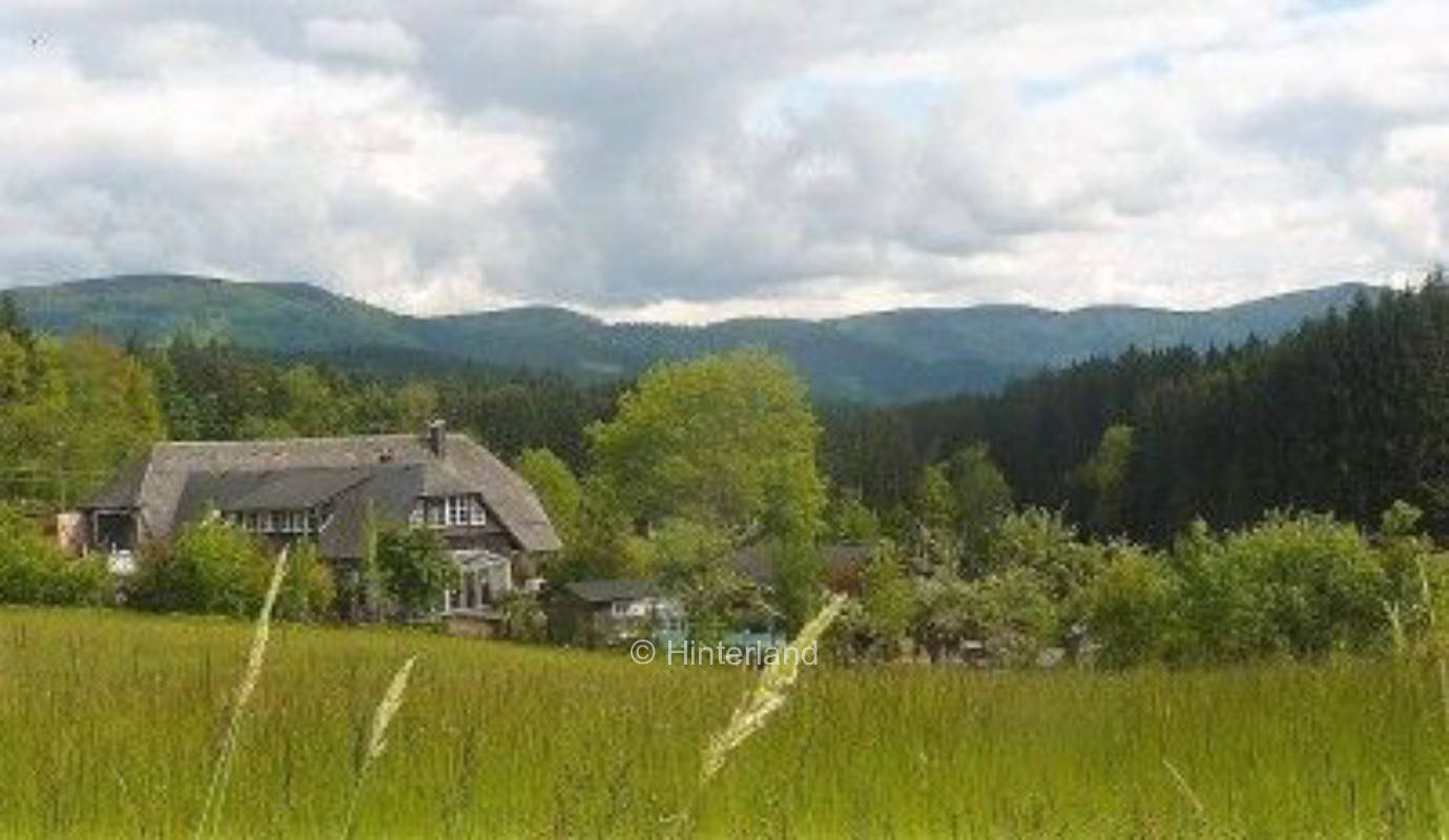 Platz 2   Zinkbächlewiese ..... Natur pur