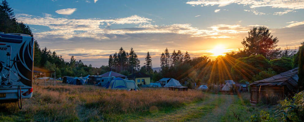 ☼ Wild camping in the mystical Idarwald with a view of the sunset ☼ (Campspace 8217)