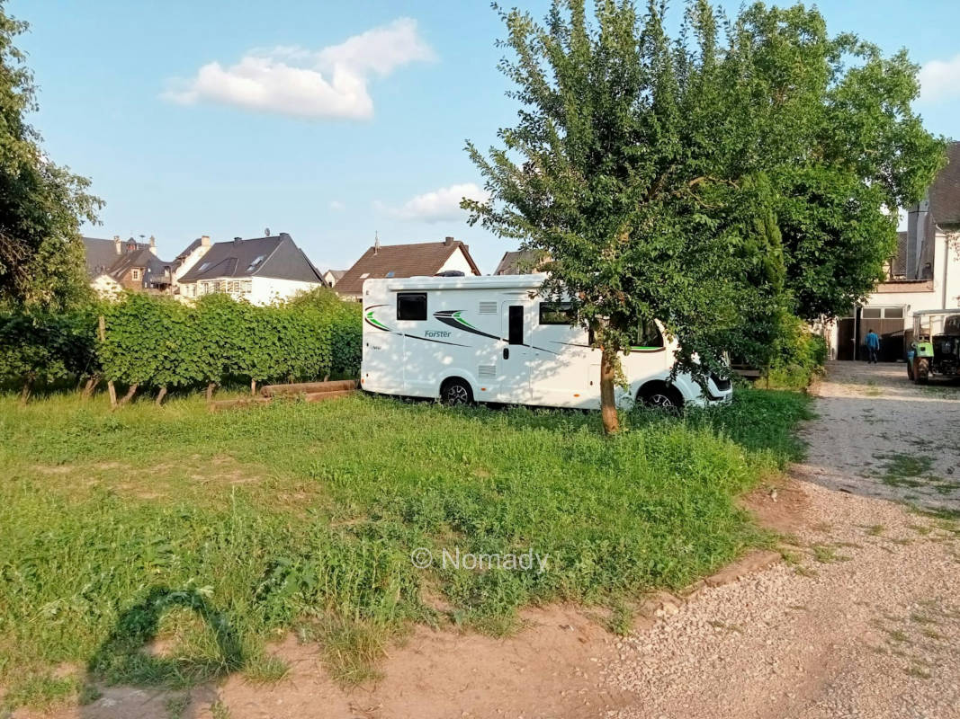Ruhiger Stellplatz am Weingut