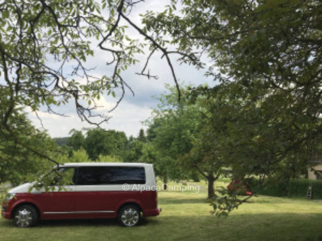 Camping auf dem Alpakahof #2
