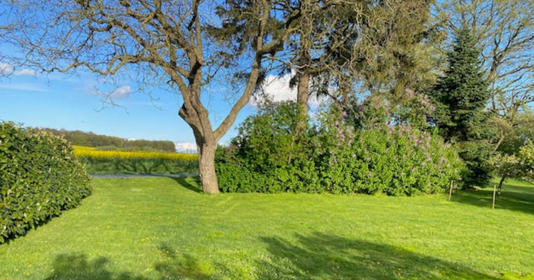 Camping for Nature Lovers at the Old Dairy Farm