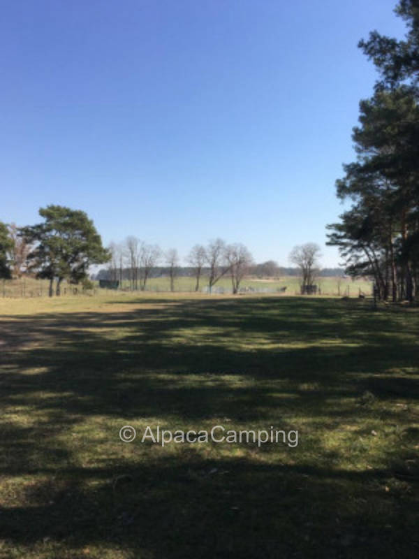 View of the pastures #1