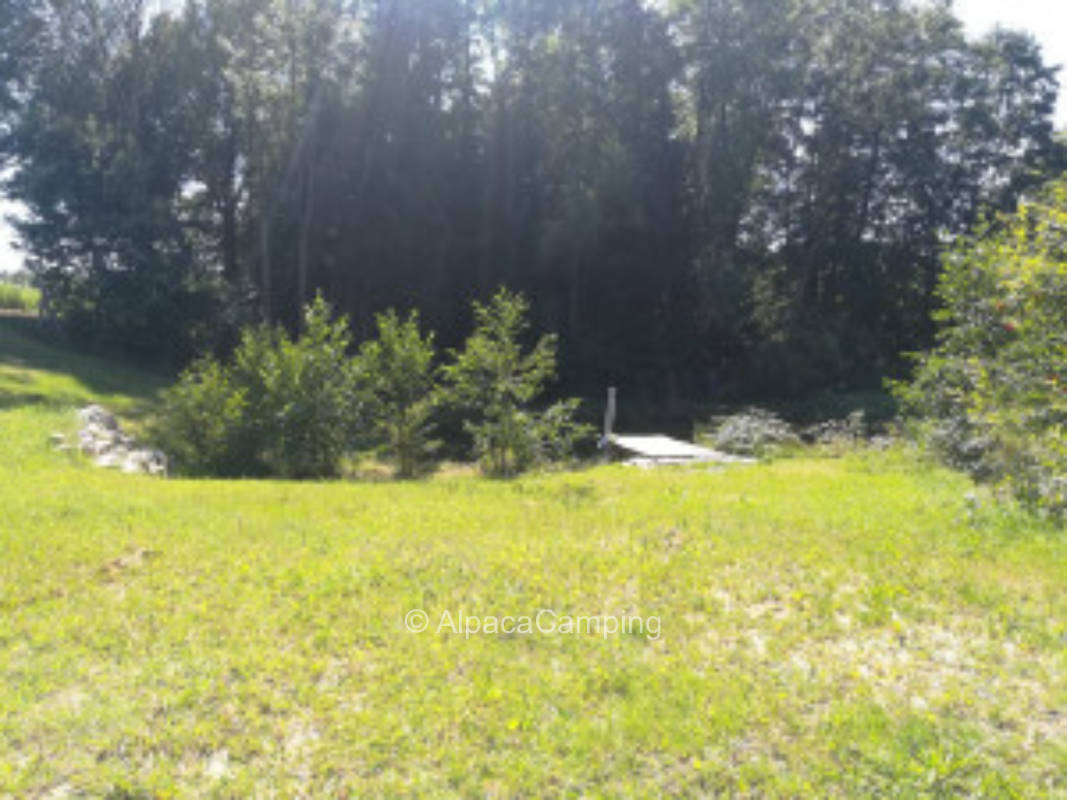 At the bathing pond #4