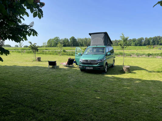 Idyllic horse farm