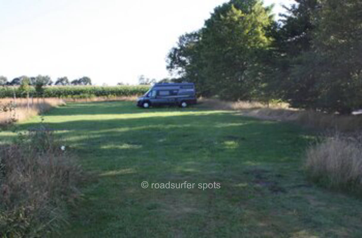 Ruhige Streuobstwiese