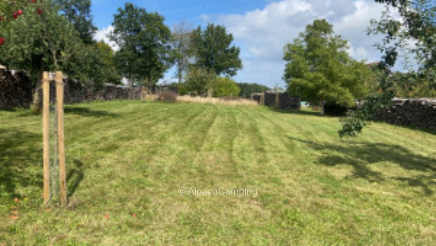 Beautiful pitch on our meadow orchard 1, privater Stellplatz