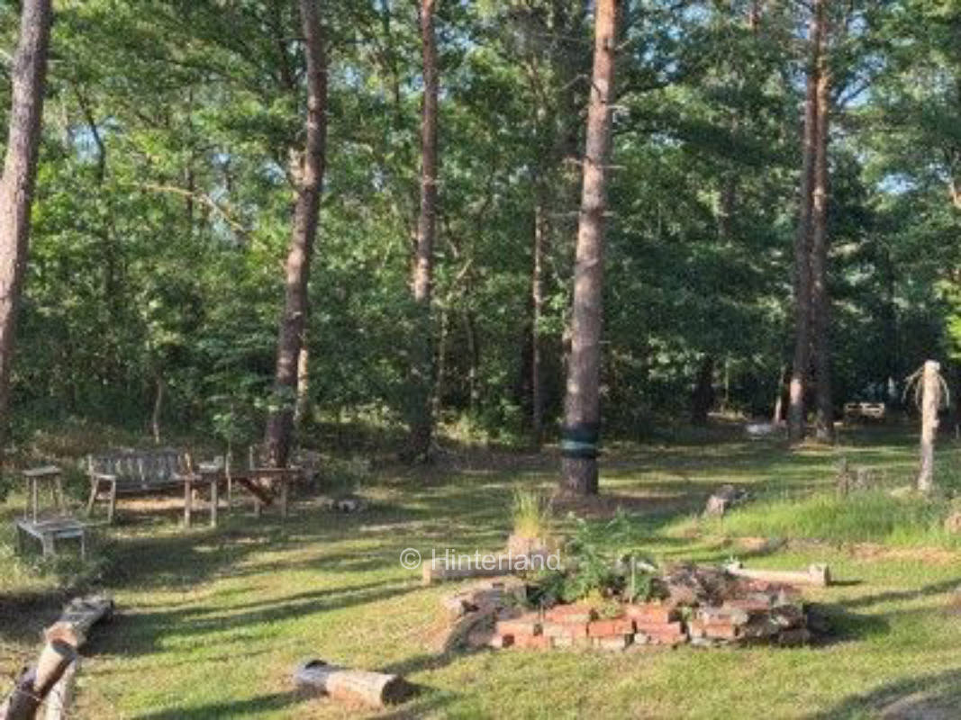 Idyllischer Zeltplatz am Moor – Natur pur!