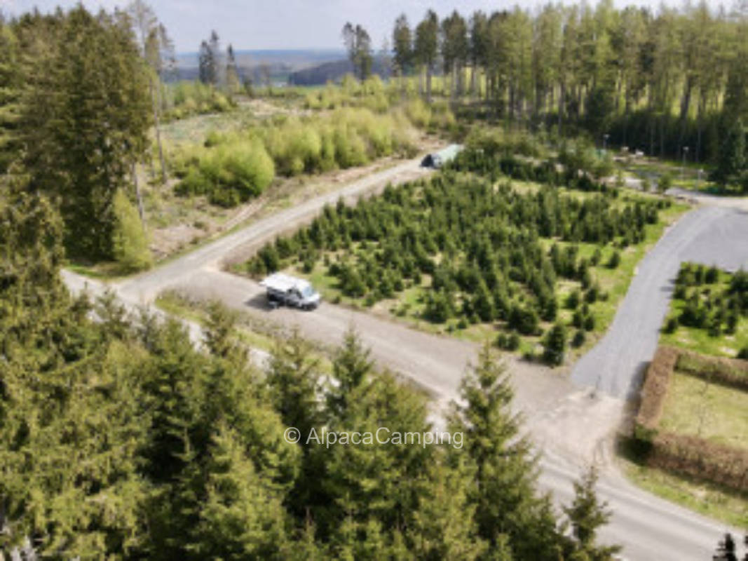 Surrounded by forests #1