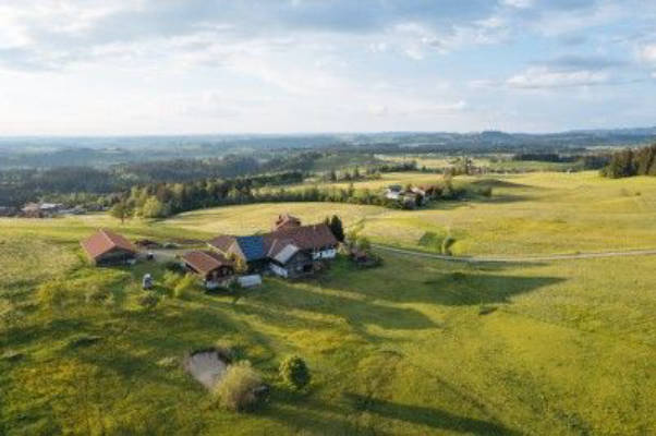 Auf der Obstwiese mitten im Allgäu mit super Blick