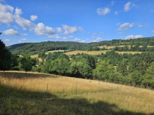 Green meadow between Rhön, Spessart and Vogelsberg