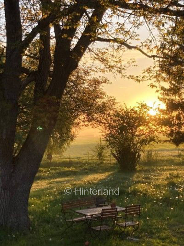Kleiner Hof in Alleinlage in der Nähe von Rostock