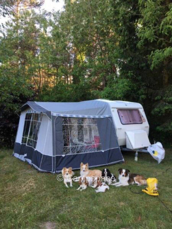 Campen im Wald - Forsthaus Metzelthin