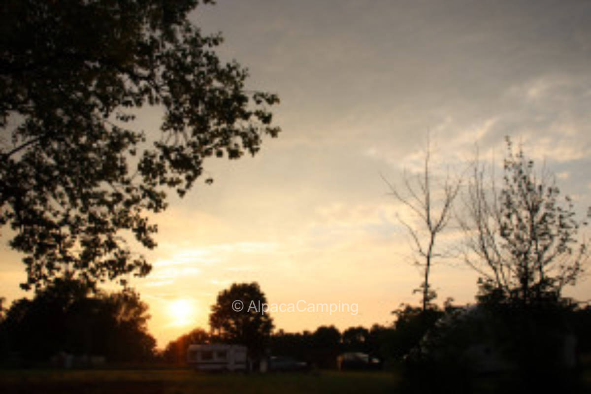 Idyllische Wiese am Fuße des Findelbergs #2