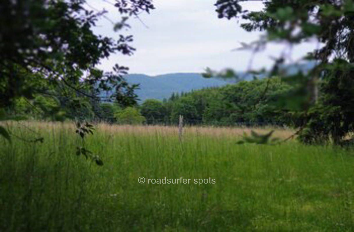 Wiedsche Hecke