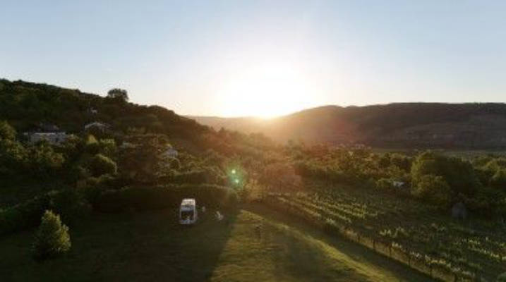 View over the vineyards of the Wachau