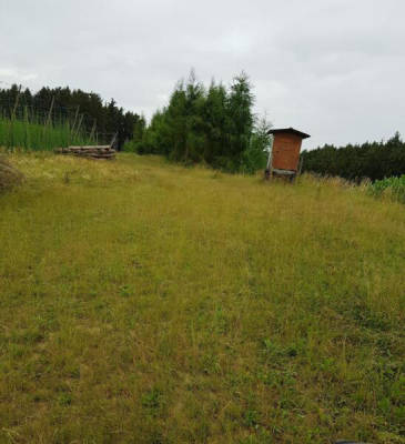 privater Stellplatz (Campspace 8947)
