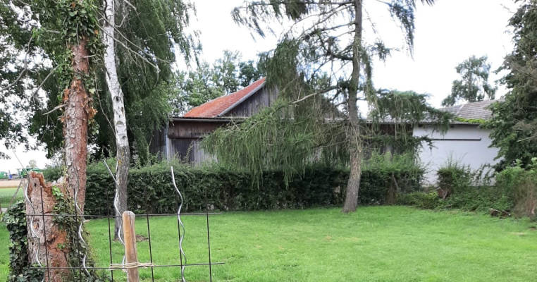 Nature garden on the edge of the field