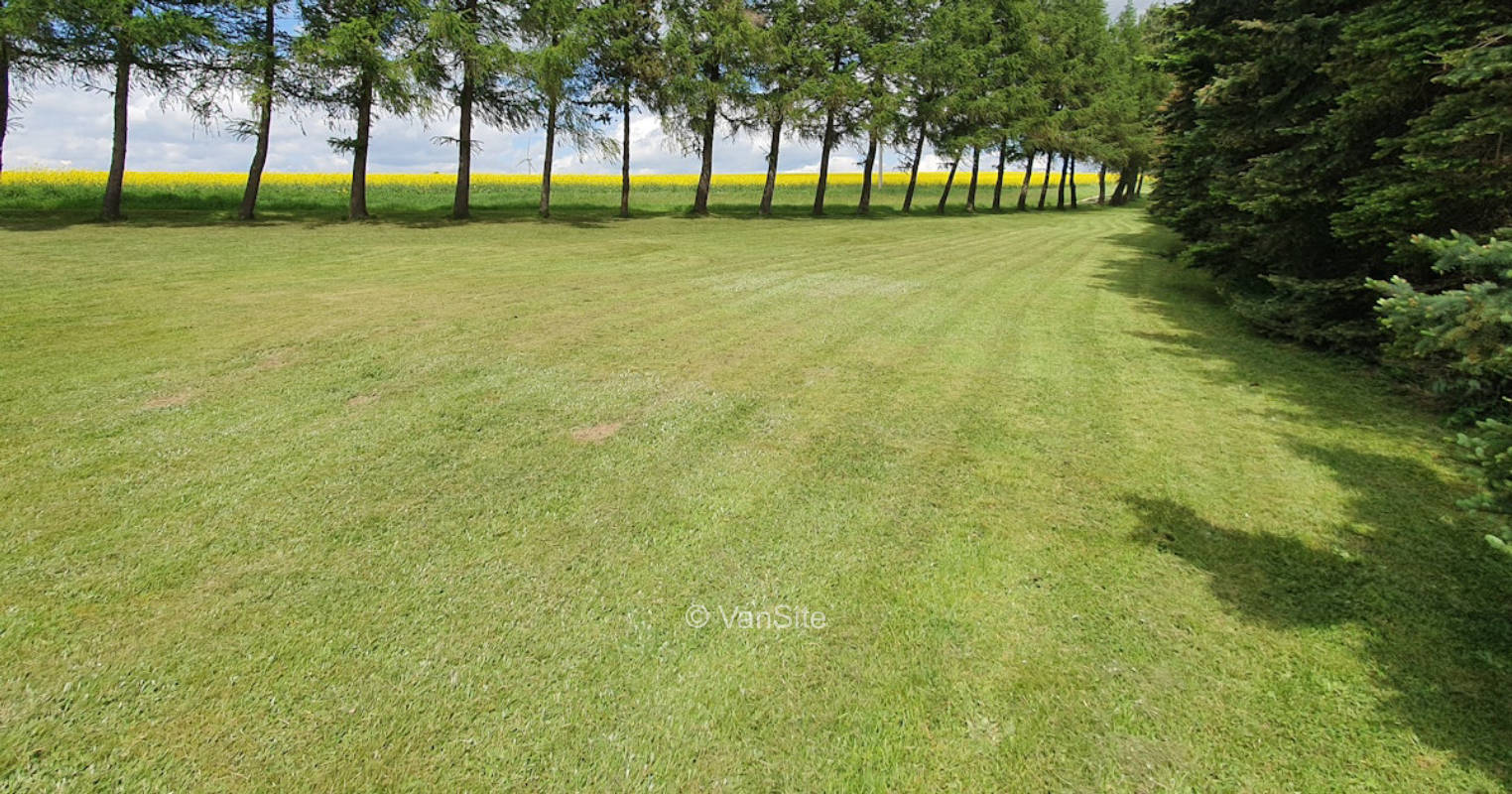 Meadow on the outskirts of the village