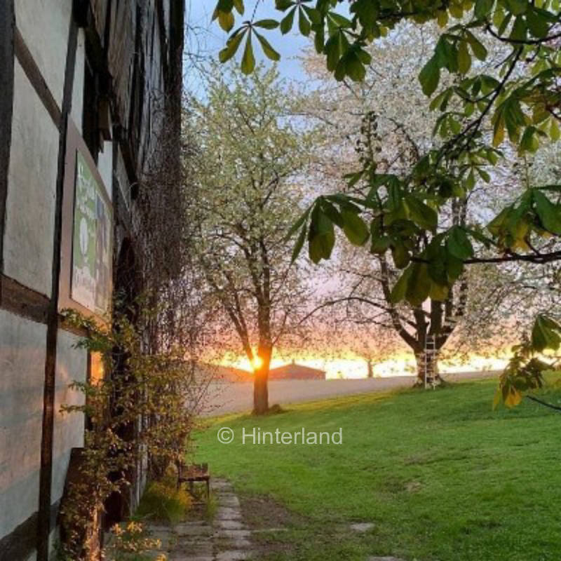 Chestnut farm vacation with donkeys and chickens