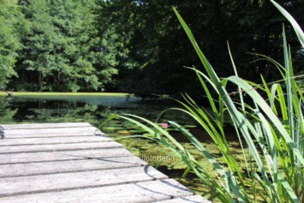 Nature paradise near Lüneburg with pond