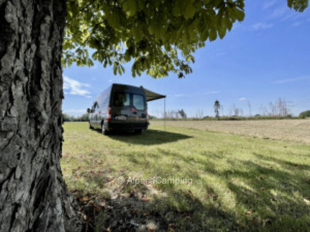Oasis of tranquility in rural area #2