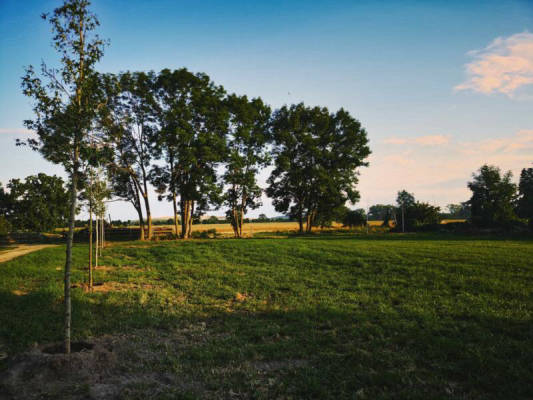 Obstgarten an der Pferdewiese (Campspace 28306)