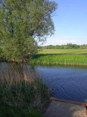 Naturwiese im Tollensetal am Wasser